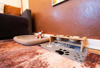 Spring Serenity Chic 1BR Apt Walk to UofA - Tucson - 2