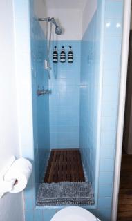 Bloom and Relax Historic 1BR in Downtown - Tucson - 1