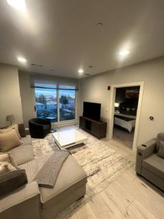 Luxurious 1BR, Pool, Gym, nr Blue Line - Revere - 1