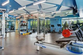 Luxurious 1BR, Pool, Gym, nr Blue Line - Revere - 5