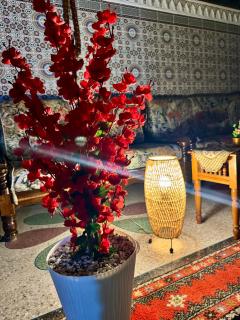 Dar Yassine - Rabat - 7