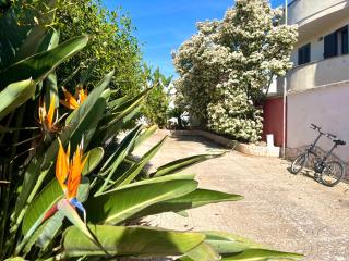 MYOURS Salento - 0