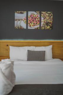 Elite Maya Hotel & Spa - Antigua Guatemala - 2