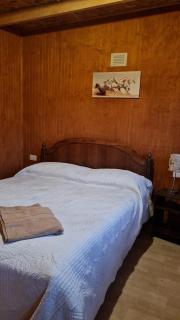 Cabañas Manolo - Osorno - 9