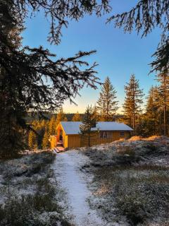 Simple and charming - forest idyll by Finnskogen - - 9