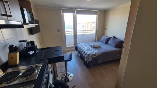 Departamento Estudio Central - Temuco - 2