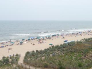 OCEANFRONT 29th St 2BR 2BA Condo Steps To Boardwalk - Ocean City - 7