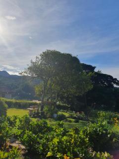 Vista Boquete Apartments - 6