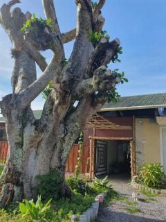 Vista Boquete Apartments - 4