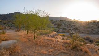 Desert Serenity Gateway to Joshua Tree - 3
