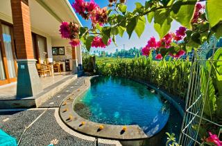 Cozy Private Villa in Rice Fields with Pool Top WiFi - Ubud - 5