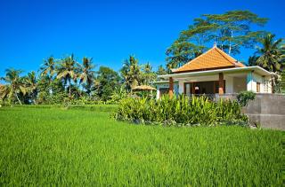 Cozy Private Villa in Rice Fields with Pool Top WiFi - Ubud - 8
