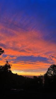 South Sea Hotel - Stewart Island - 9