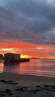 South Sea Hotel - Stewart Island - Half-moon Bay - 7