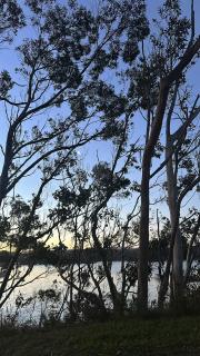 South Sea Hotel - Stewart Island - Half-moon Bay - 1