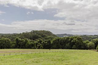 8 Farm Macadamia Plantation 1 by Tiny Away - Cumbalum - 7