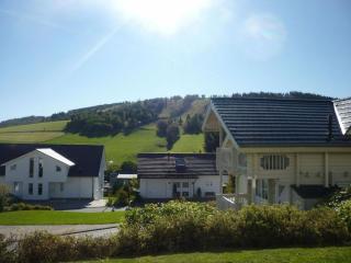 Holiday apartment in Willingen with terrace - Willingen - 8