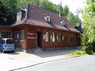 Holiday apartment in the Upper Harz in Wildemann - Wildemann - 0