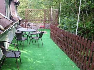 1 bedroom apartment - Wildemann - 9