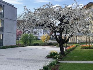 Holiday apartment triLogie-Mulbeere - Stetten - 9