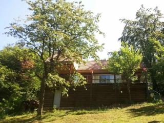 Vintage holiday home with private terrace - Bad Pyrmont - 9