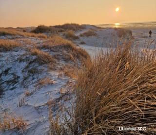Haus-Utlande-Whg-20 - Sankt Peter-Ording - 5