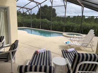 Eat Sleep Swim Repeat New Pool Home - Davenport - 0