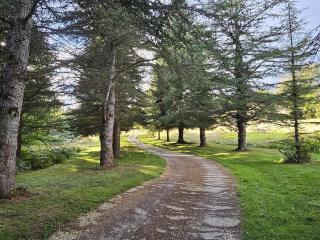 Gîte 8 personnes avec cheminée et SPA à Biron - FR-1-616-481 - 8