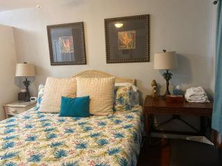Blue River Breeze Guest Suite - Daytona Beach - 6