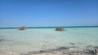 Hotel playa laguna bacalar - Calderita - 0