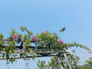 Khói Garden, Coffee and Homestay - Sapa - 7