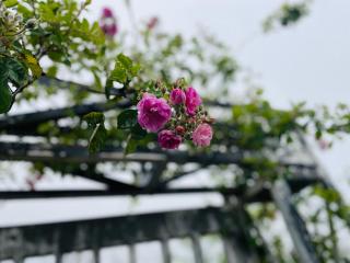 Khói Garden, Coffee and Homestay - 9