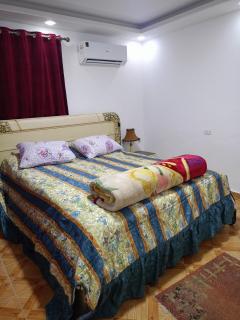 Feel at Home in the City - Alexandrië - 1