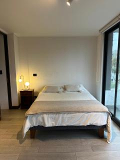 Elegante departamento - Santiago - 5