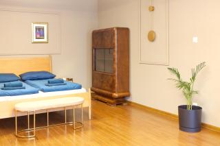 Retro House #nestapartamenty - Bielsko-Biała - 2