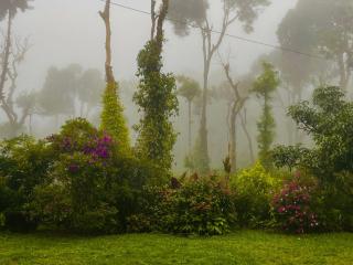 The Perch -Entire house. A Coffee Lover's Paradise - 9
