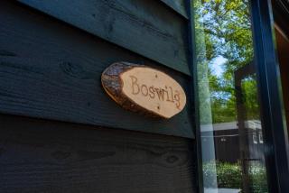 Boswilg - Zuidwolde - 8