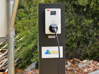 New Palm Hive - Cherso - 4