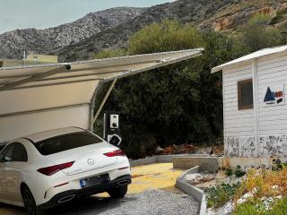 New Palm Hive - Cherso - 3