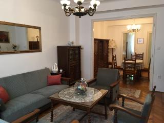 Elegant Apartment - Budapest - 8