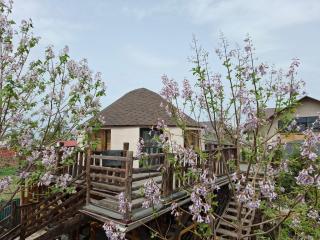 Happy Nomads Yurts & Hostel - Karakol - 4