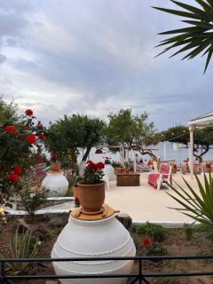 Lenio Rooms - Skiathos-Stadt - 4