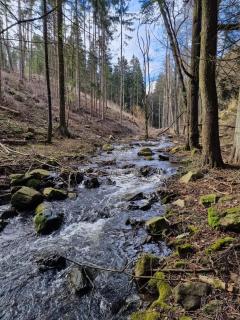 Penzion Slunečnice - 3