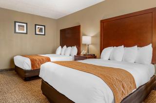 Comfort Inn MSP Airport - Mall of America - Bloomington - 5
