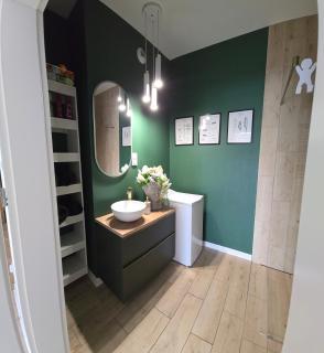 Apartament Dolina Baryczy Milicz - Milicz - 1