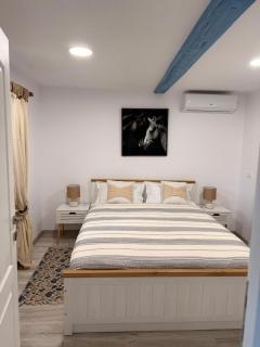 Casa lui Matei Murighiol#2 - 4