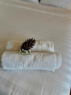 Moc Nha Minh Hotel Da Lat - Da Lat - 4