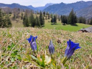 WuhrsteinHaus, Heil- und Seminarzentrum Chiemgau - Schleching - 9