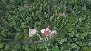 Vamsi's Woodside - Yercaud - 0