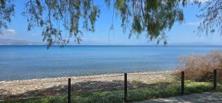 Eva's Beachfront House - Città di Kos - 9